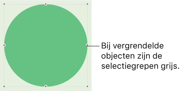 Een vergrendeld object met gedimde selectiegrepen.