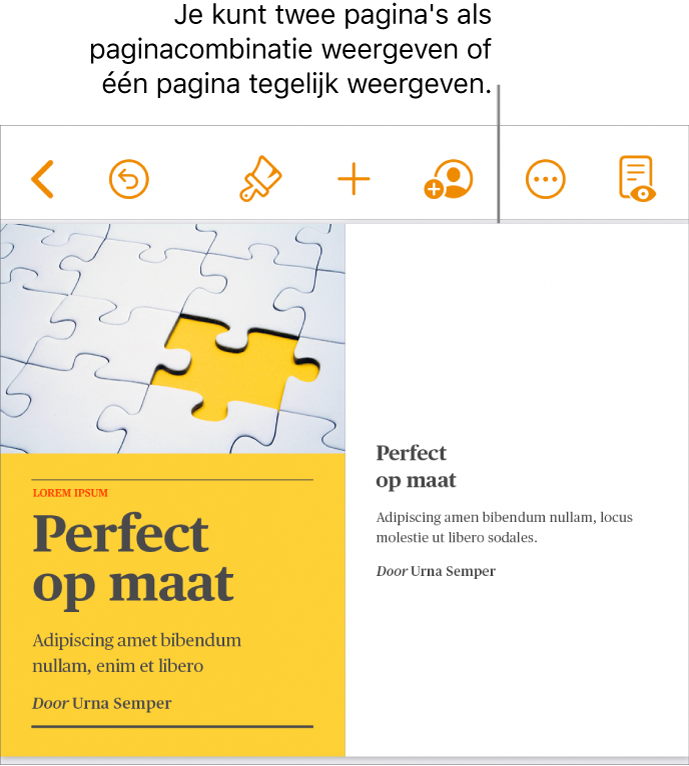 Een document met pagina's weergegeven als paginacombinatie.