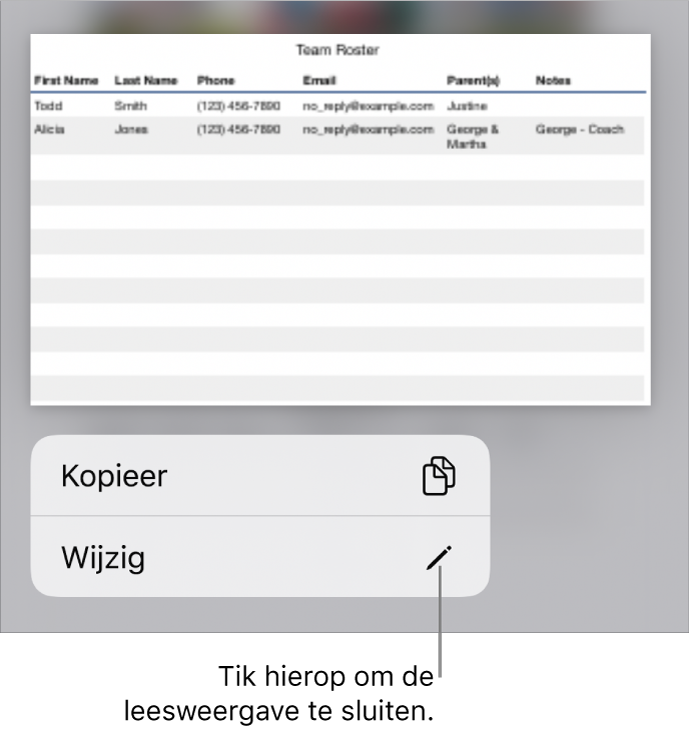Er is een tabel geselecteerd en eronder staat een menu met de knoppen 'Kopieer' en 'Wijzig'.