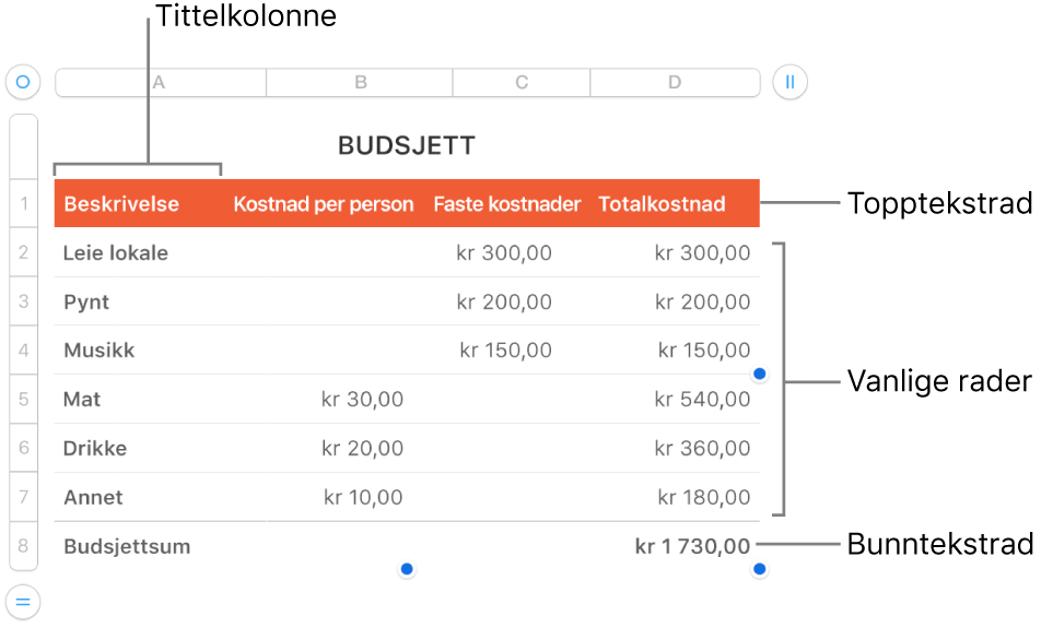 En tabell som viser tittelrader og -kolonner, vanlige rader og kolonner og bunnrader og -kolonner.