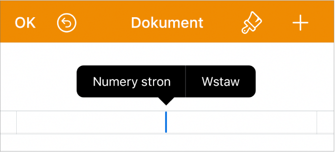 Okno ustawień dokumentu. W polu nagłówka znajduje się punkt wstawiania oraz menu podręczne z dwoma poleceniami: Numery stron oraz Wstaw.