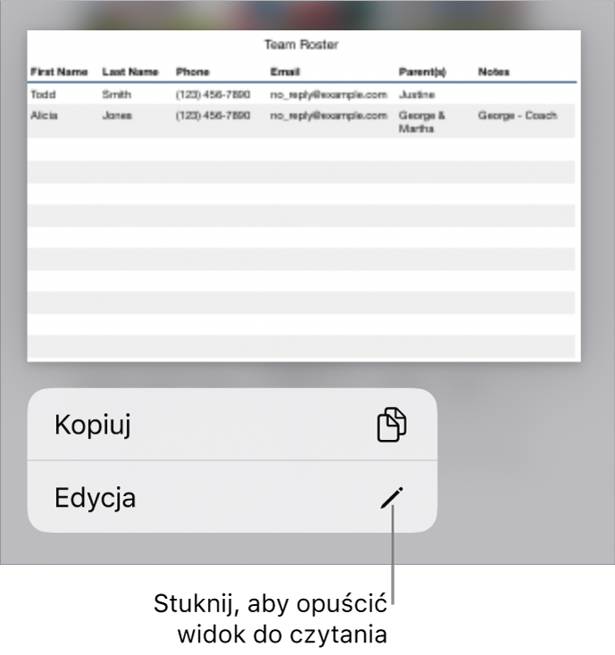 Zaznaczona tabela z widocznym poniżej menu zawierającym przyciski Kopiuj oraz Edycja.