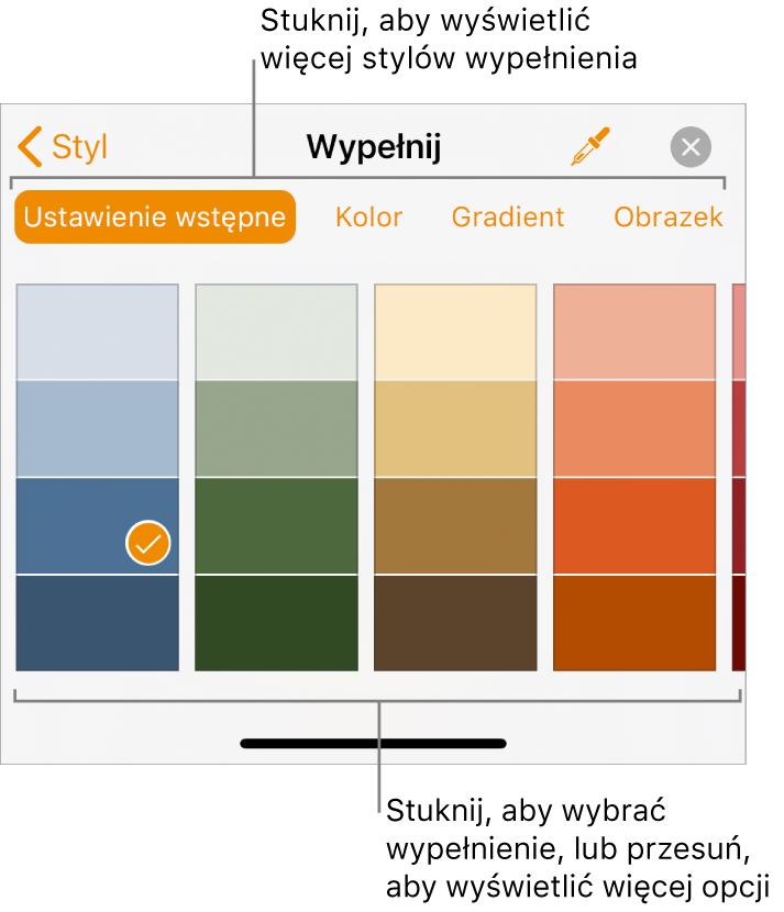 Opcje wypełnienia na karcie Styl na pasku bocznym Format.