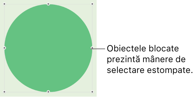 Un obiect blocat cu mânere de selecție estompate.