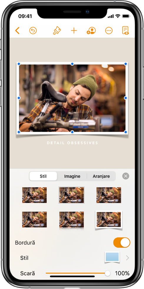 Comenzile Format pentru modificarea dimensiunii și a aspectului imaginii selectate. Butoanele Stil, Imagine și Aranjare se află de-a lungul părții de sus a comenzilor.