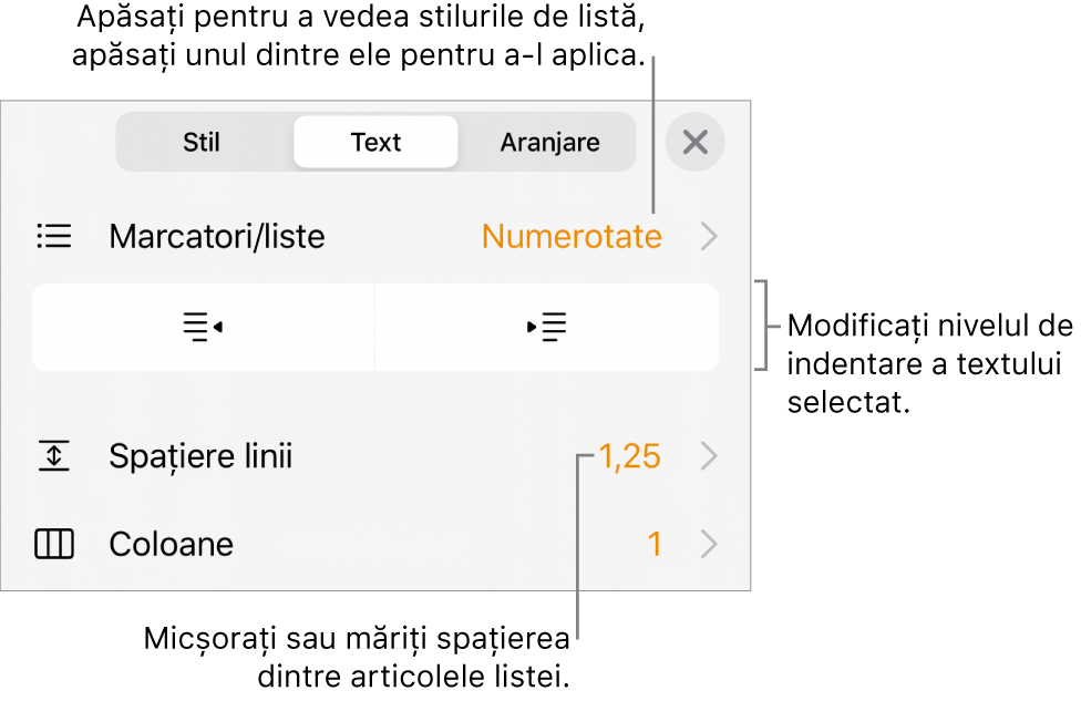 Comenzile Format cu explicații pentru meniul Marcatori și liste, butoane de indentare și comenzi pentru spațierea liniilor.