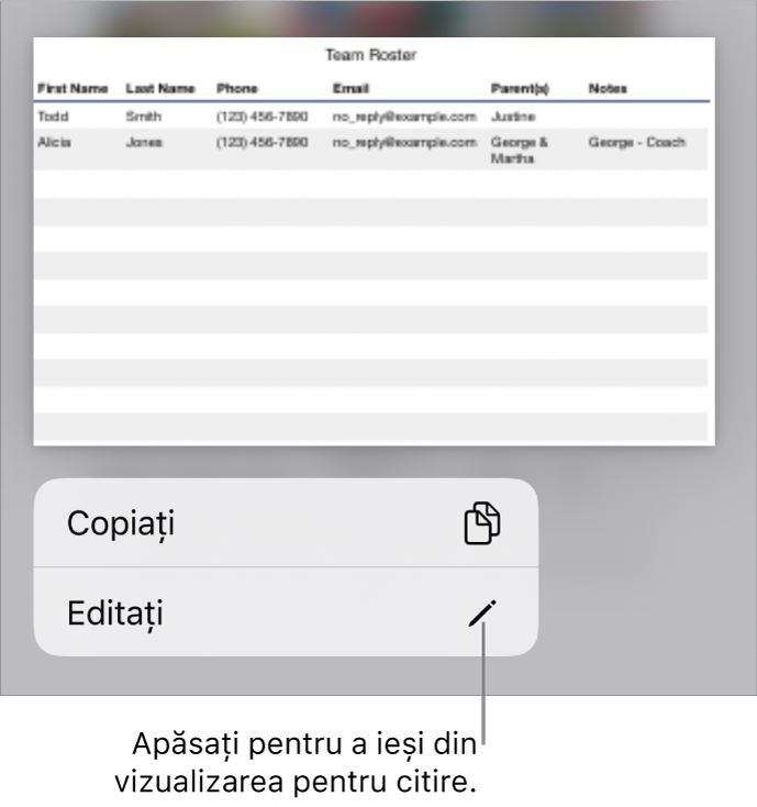 Un tabel este selectat și sub acesta se află un meniu cu butoanele Copiați și Editați.