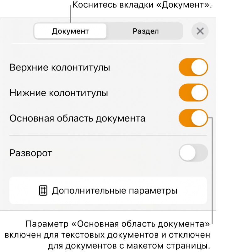 Элементы управления форматированием документа и включенный параметр «Основная область документа» в нижней части экрана.