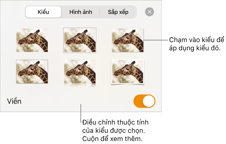Tab Kiểu có các kiểu hình ảnh ở trên cùng và nút Tùy chọn kiểu ở dưới cùng.