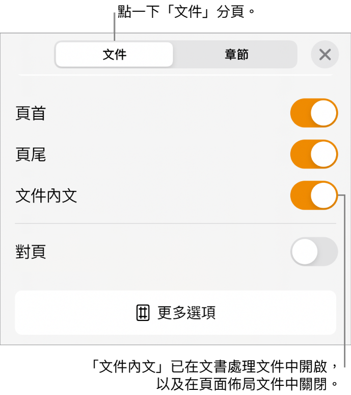 靠近螢幕下方，已開啟「文件內文」的「文件」格式控制項目。