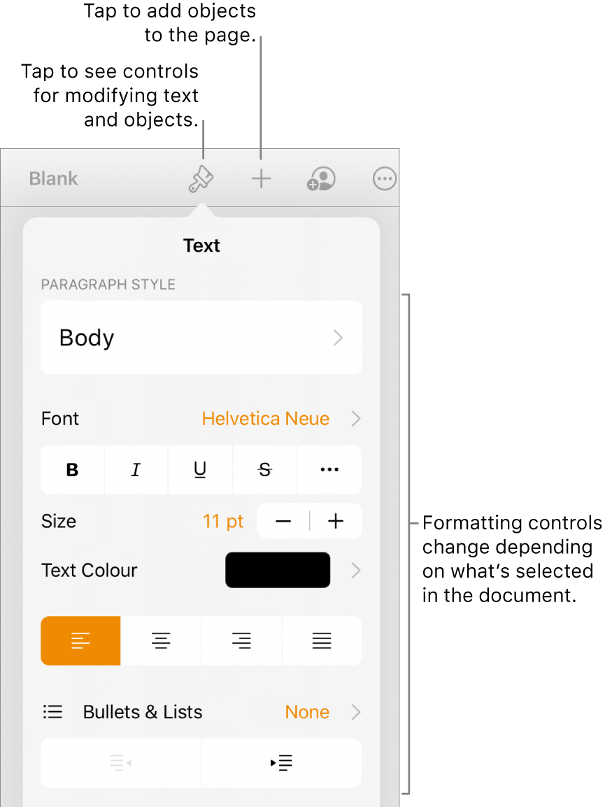The Format controls open and showing controls to change paragraph style, modify fonts and format font spacing. Callouts at the top point out the Format button in the toolbar and to its right, the Insert button to add objects to the page.