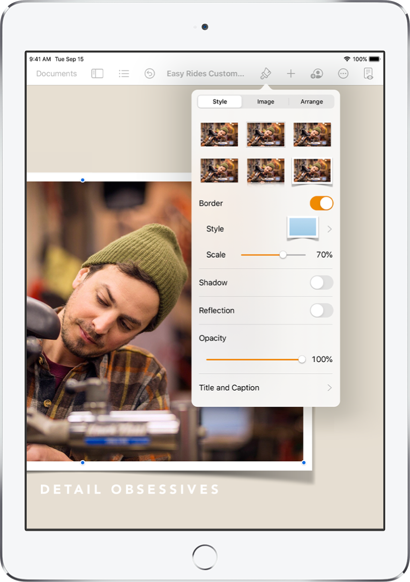 The Format controls for changing the size and appearance of the selected image. Style, Image, and Arrange buttons are across the top of the controls.