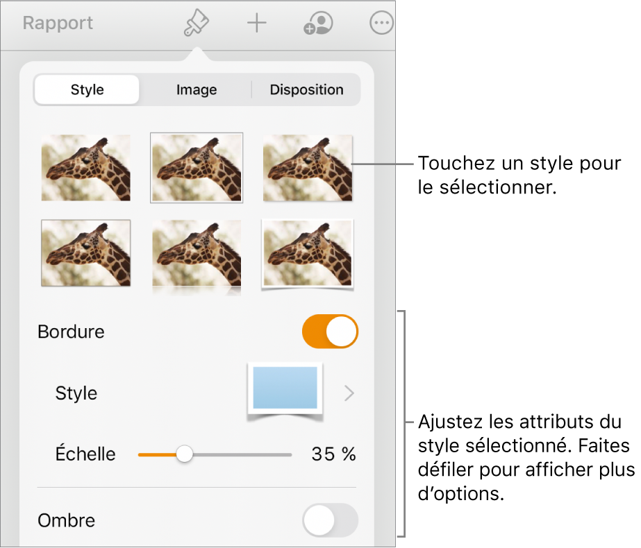 Onglet Style du menu Format avec des styles d’objet en haut et, en dessous, des commandes de modification de bordure, d’ombre, de reflet et d’opacité.