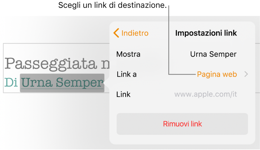 I controlli “Impostazioni link” con un campo Mostra, “Link a” (impostato su “Pagina web”) e il campo Link. Nella parte inferiore dei controlli è presente il pulsante “Rimuovi link”.