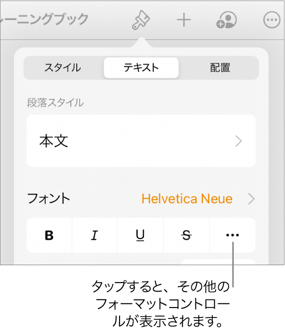 「フォーマット」コントロールの「テキスト」タブ。「その他のテキストオプション」ボタンへのコールアウトが表示された状態。