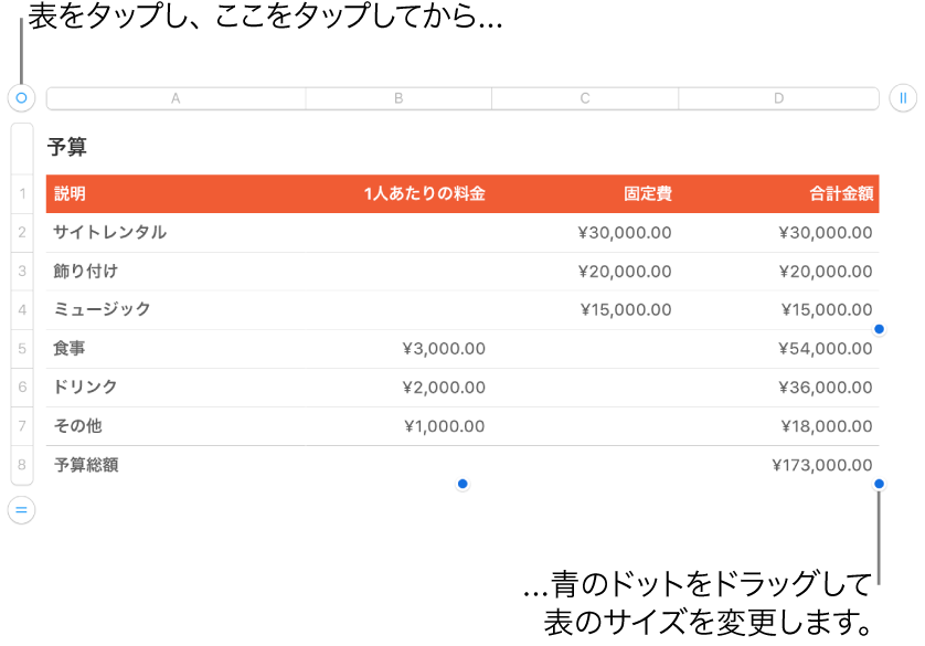 選択された表。サイズを変更するための青いドットが表示された状態。