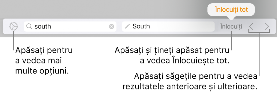Comenzi pentru găsirea și înlocuirea textului.