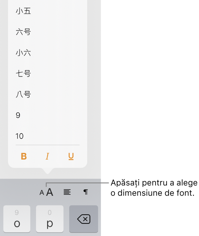 Butonul Dimensiune font aflat în partea dreaptă a tastaturii iPad, având deschis meniul de dimensiune a fontului. Dimensiunile de font standard ale guvernului Chinei continentale apar în partea de sus a meniului, având în partea de jos dimensiunile pentru punct.