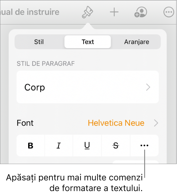 Fila Text a comenzilor Format, cu o explicație pentru butonul Alte opțiuni de text.