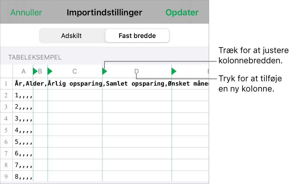 Importindstillingerne til et tekstarkiv med fast bredde.