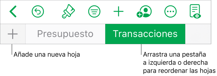 La barra de pestañas para añadir una nueva hoja, navegar por las hojas, reordenarlas y reorganizarlas.