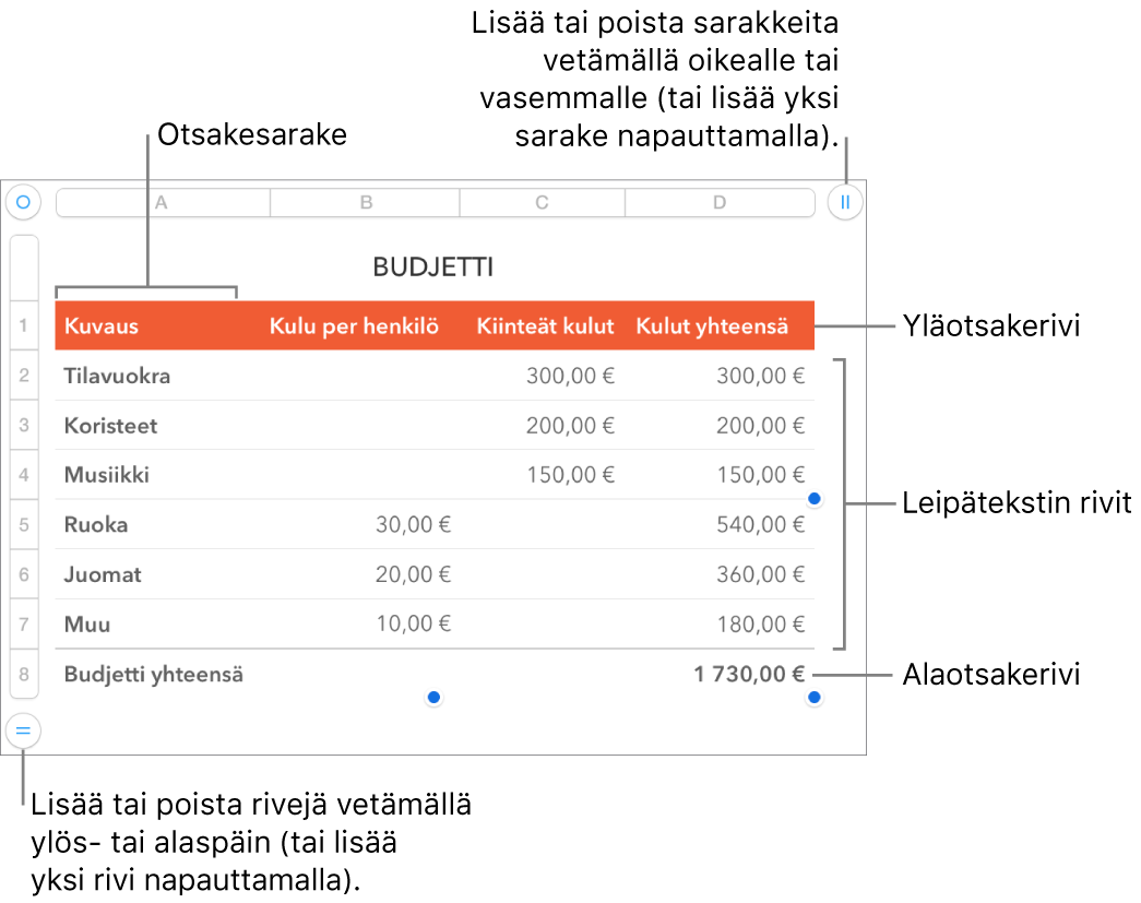 Taulukko, jossa näkyy yläotsake-, leipäteksti- ja alaotsakerivejä ja -sarakkeita sekä kahvoja rivien tai sarakkeiden lisäämiseen tai poistamiseen.