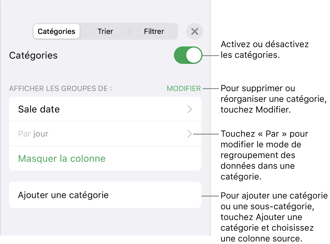 Le menu Catégories pour l’iPhone avec des options pour désactiver des catégories, supprimer des catégories, regrouper des données, masquer une colonne source et ajouter des catégories.