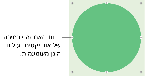 אובייקט נעול עם ידיות בחירה מעומעמות.