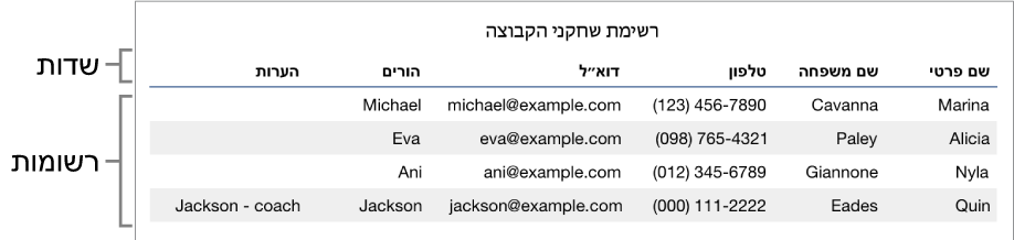 טבלה המוגדרת בצורה נכונה לשימוש עם טפסים, וכוללת שורת כותרת המכילה את תוויות השדות, ורשימה של רשומות המציגות את פרטי הקשר של חברי קבוצת ספורט.