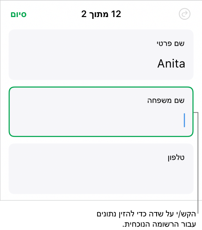 רשומה בטופס המציגה שדה פעיל עם נקודת כניסה.