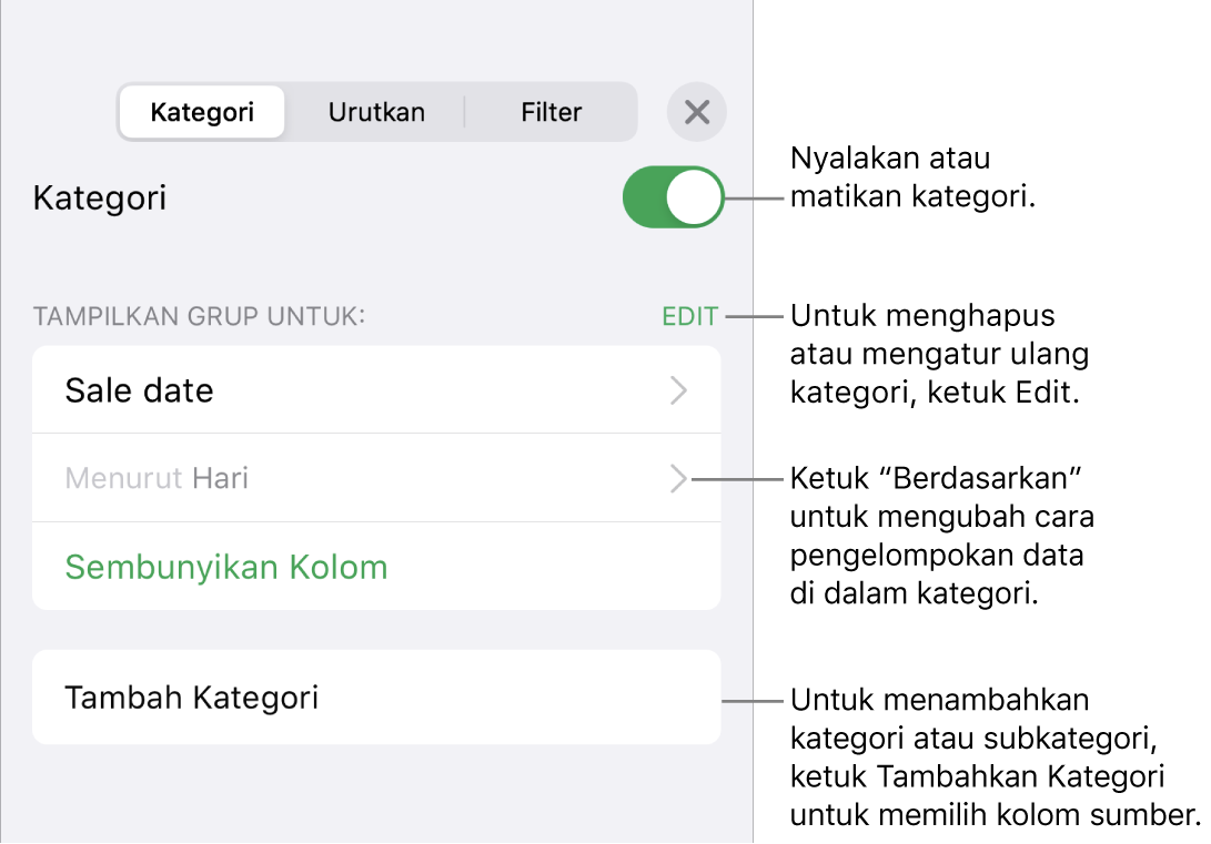 Menu Kategori untuk iPhone dengan pilihan untuk mematikan kategori, menghapus kategori, mengelompokkan ulang data, menyembunyikan kolom sumber, dan menambah kategori.