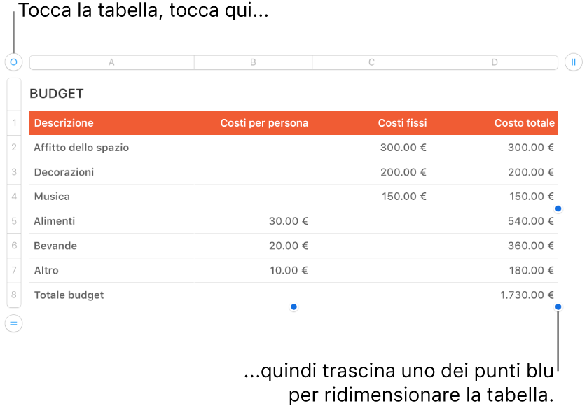 Tabella selezionata con punti blu per il ridimensionamento.