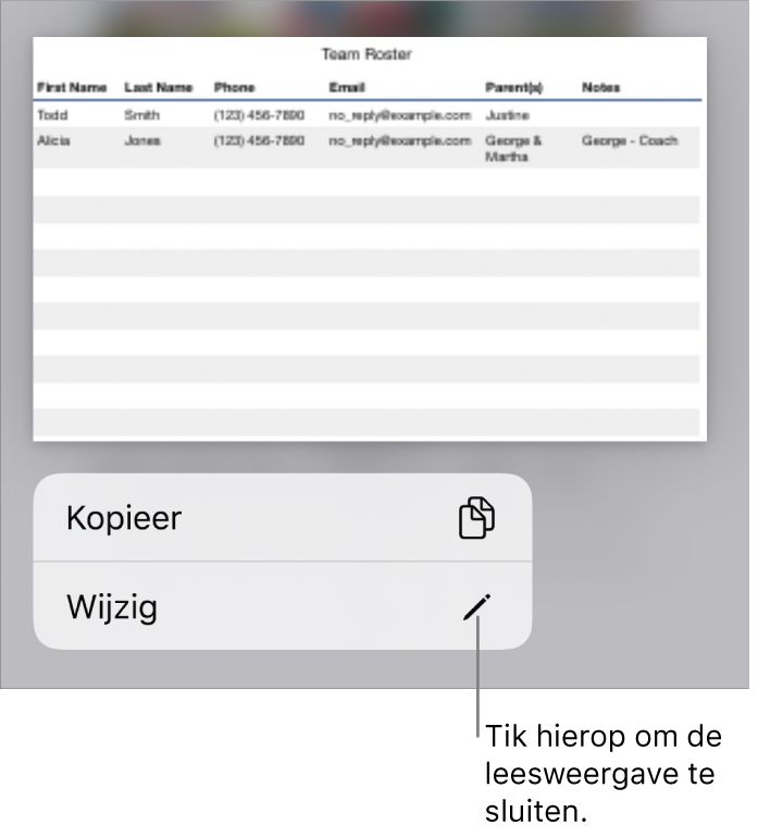 Er is een tabel geselecteerd en eronder staat een menu met de knoppen 'Kopieer' en 'Wijzig'.