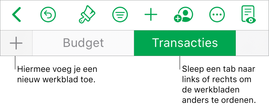 De tabbladbalk voor het toevoegen van een nieuw werkblad, het navigeren in werkbladen, het hernoemen en het opnieuw ordenen van werkbladen.
