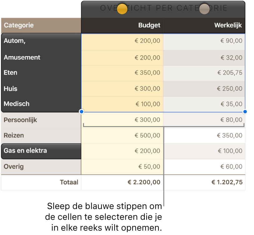 Tabelcellen met grepen voor het selecteren van reeksen.