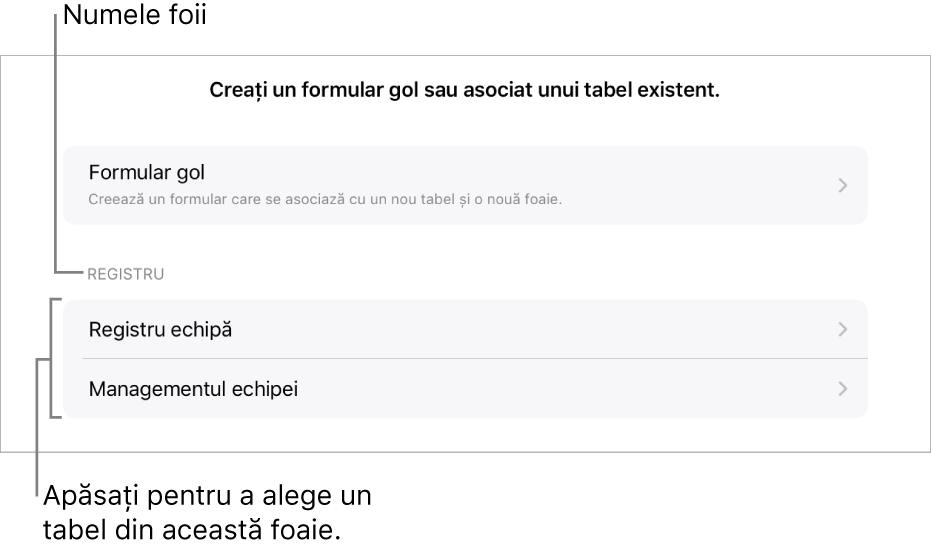 O listă de tabele care sunt în aceeași foaie de calcul, având sus opțiunea de a crea un formular gol.