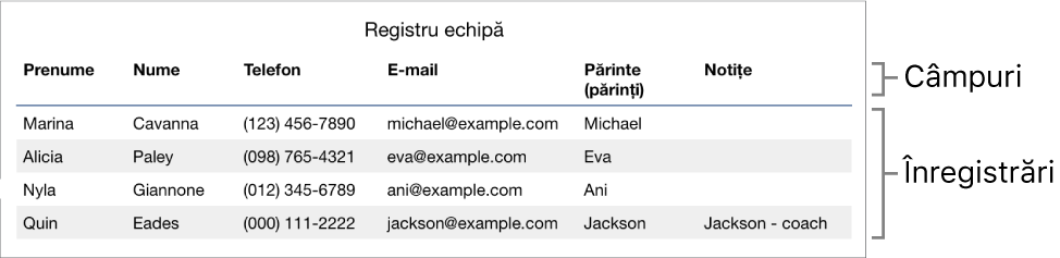 Un tabel configurat corect pentru a fi utilizat cu formulare, cu un rând de antet care include etichete de câmp și o listă de înregistrări afișând datele de contact pentru registre de echipe sportive.