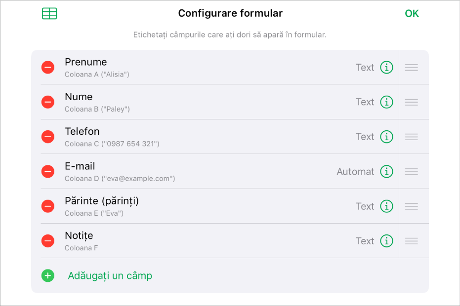 Modul de configurare a formularului, afișând opțiunile de adăugare, editare, reordonare și ștergere a câmpurilor, cât și pentru modificarea formatului câmpurilor (de exemplu, din Text în Procentaj).