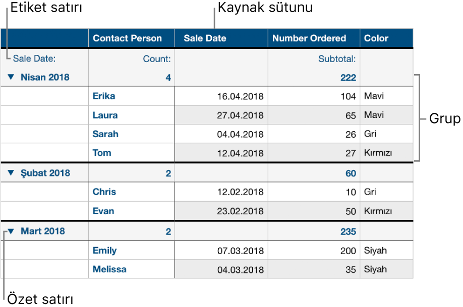 Kaynak sütunu, grupları, özet satırını ve etiket satırını gösteren, kategoriye ayrılmış bir tablo.