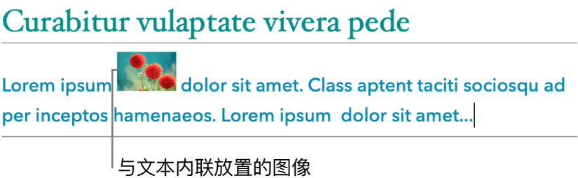 与文本内联放置的图像。