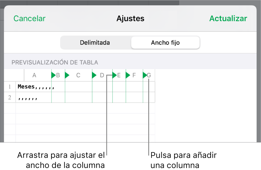 Los ajustes de importación de un archivo de texto de ancho fijo.