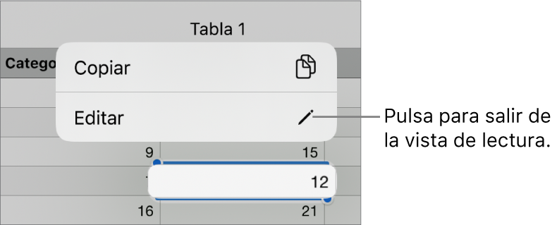 Hay seleccionada una celda de tabla y por encima de ella aparece un menú contextual con botones Copiar y Editar.