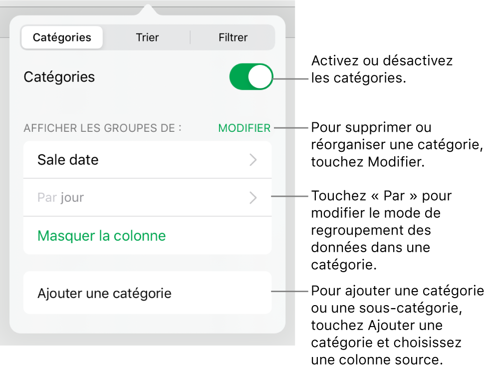 Le menu Catégories pour l’iPad avec des options pour désactiver des catégories, supprimer des catégories, regrouper des données, masquer une colonne source et ajouter des catégories.