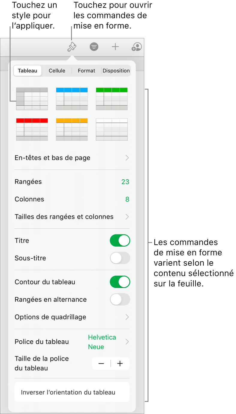 Sous-fenêtre Tableau du bouton Format