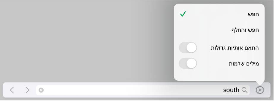 תפריט אפשרויות החיפוש עם ״חפש״, ״חפש והחלף״, ״התאם אותיות גדולות״ ו״מילים שלמות״.