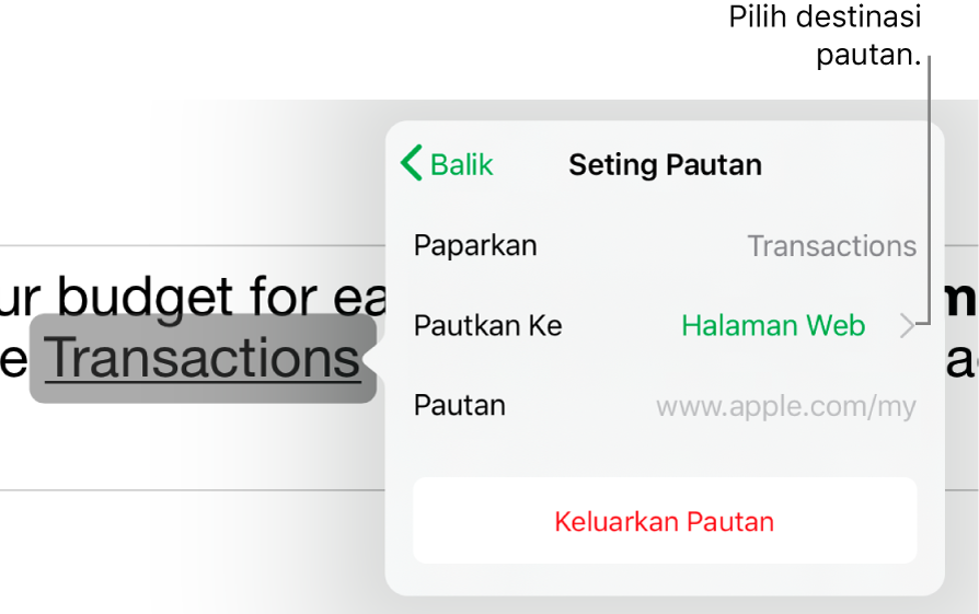 Kawalan Seting Pautan dengan medan untuk Paparan, Pautkan Ke (Halaman Web dipilih) dan Pautan. Butang Keluarkan Pautan berada di bahagian bawah.