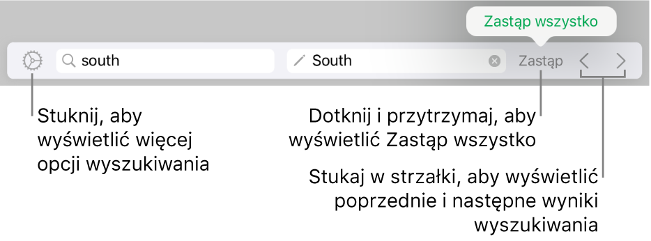 Narzędzia znajdowania i zastępowania tekstu.