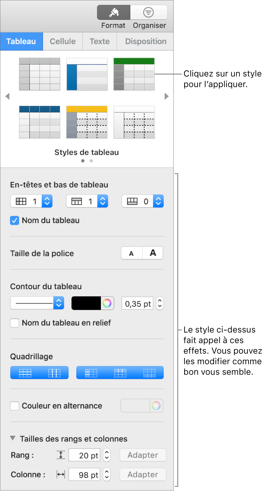 Barre latérale Format présentant des styles de tableau et des options de mise en forme.