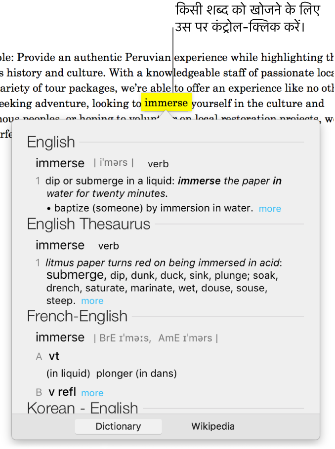 चिह्नांकित शब्द वाले टेक्स्ट और उसकी परिभाषा और प्रविष्टियाँ कोश दिखाने वाली विंडो। विंडो के नीचे दिए गए दो बटन द्वारा शब्दकोश और विकिपीडिया के लिंक उपलब्ध कराई जाती हैं।