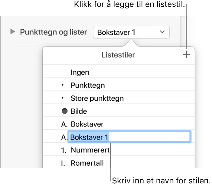 Listestiler-lokalmenyen med en Legg til-knapp øverst i høyre hjørne og et plassholderstilnavn med teksten markert.